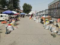 Siab-Basar, Samarkand