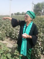 Barno informierte uns über die Baumwolle