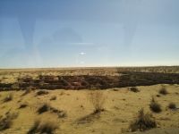 Fahrt durch die Wüste Kizilkum: Straßenschutz vor der Wüste mit Hilfe von Schilf-Zäunen