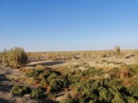 Blick in die Wüste Kizilkum