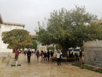 Der Gebetsbaum im Bahauddin-Naqshbandi-Komplex, bei Buchara