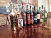 Weinverkostung in der Weinfabrik Chovrenko, Samarkand