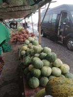 Melonen-Pause auf der Strecke nach Taschkent