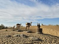 Fahrt von Chiva nach Buchara - KizilkumWüste