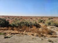 Scharihsabs - Kizilkum Wüste - Heidefelder