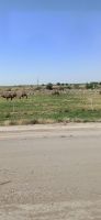Usbekistan: unterwegs nach Schahrisabs &ndash; &copy; Inge Bily (Eberhardt TRAVEL)