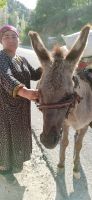 Usbekistan: Fahrt über den Pass nach Taschkent &ndash; &copy; Inge Bily (Eberhardt TRAVEL)