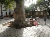 Chinorlar - 1370-Jahre alter Baum neben der Hazrati-Imom Moschee, Schachrisabs