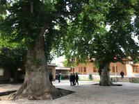 Hof der Moschee