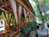 Tee-Pause im AL Aziz Café