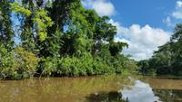 Orinoco-Delta  -  Rundreise Venezuela – Natur und Abenteuer pur