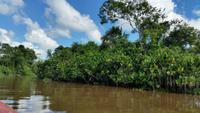 Orinoco-Delta  -  Rundreise Venezuela – Natur und Abenteuer pur