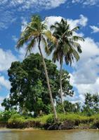Orinoco-Delta  -  Rundreise Venezuela – Natur und Abenteuer pur