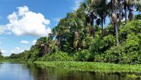 Orinoco-Delta  -  Rundreise Venezuela – Natur und Abenteuer pur