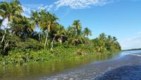 Orinoco-Delta  -  Rundreise Venezuela – Natur und Abenteuer pur
