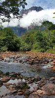 Salto Angel Wasserfall - Engel Fall - Canaima Nationalpark - Rundreise Venezuela – Natur und Abenteuer pur