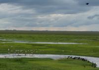 Los Llanos - Rundreise Venezuela – Natur und Abenteuer pur