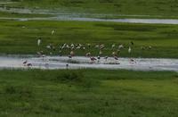 Los Llanos - Rundreise Venezuela – Natur und Abenteuer pur