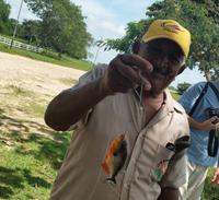 Los Llanos - Rundreise Venezuela – Natur und Abenteuer pur