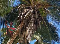 Cepe bei Choroni - Karibik - Rundreise Venezuela – Natur und Abenteuer pur