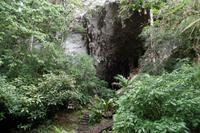Caripe - Guácharo-Höhle - Rundreise Venezuela – Natur und Abenteuer pur
