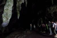 Caripe - Guácharo-Höhle - Rundreise Venezuela – Natur und Abenteuer pur