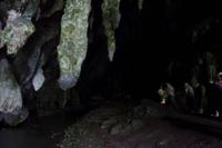 Caripe - Guácharo-Höhle - Rundreise Venezuela – Natur und Abenteuer pur
