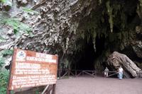 Caripe - Guácharo-Höhle - Rundreise Venezuela – Natur und Abenteuer pur