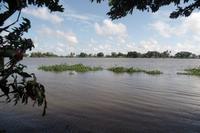 Orinoco-Delta  -  Rundreise Venezuela – Natur und Abenteuer pur