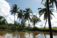 Orinoco-Delta  -  Rundreise Venezuela – Natur und Abenteuer pur