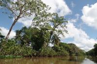 Orinoco-Delta  -  Rundreise Venezuela – Natur und Abenteuer pur