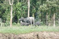 Orinoco-Delta  -  Rundreise Venezuela – Natur und Abenteuer pur