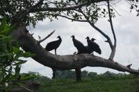 Orinoco-Delta  -  Rundreise Venezuela – Natur und Abenteuer pur