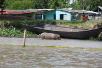 Orinoco-Delta  -  Rundreise Venezuela – Natur und Abenteuer pur
