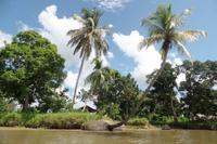 Orinoco-Delta  -  Rundreise Venezuela – Natur und Abenteuer pur