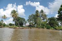 Orinoco-Delta  -  Rundreise Venezuela – Natur und Abenteuer pur