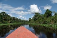 Orinoco-Delta  -  Rundreise Venezuela – Natur und Abenteuer pur