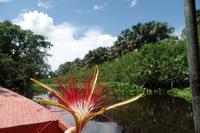 Orinoco-Delta  -  Rundreise Venezuela – Natur und Abenteuer pur