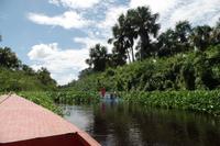 Orinoco-Delta  -  Rundreise Venezuela – Natur und Abenteuer pur