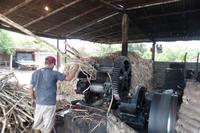 Die Anden - Rundreise Venezuela – Natur und Abenteuer pur