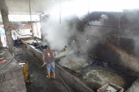 Die Anden - Rundreise Venezuela – Natur und Abenteuer pur