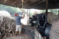 Die Anden - Rundreise Venezuela – Natur und Abenteuer pur