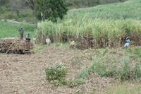 Die Anden - Rundreise Venezuela – Natur und Abenteuer pur