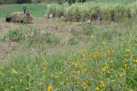 Die Anden - Rundreise Venezuela – Natur und Abenteuer pur