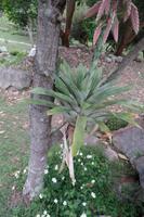 Merida - Die Anden - Rundreise Venezuela – Natur und Abenteuer pur