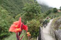 Die Anden - Rundreise Venezuela – Natur und Abenteuer pur