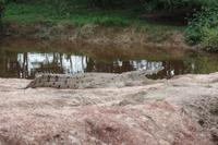 Los Llanos - Rundreise Venezuela – Natur und Abenteuer pur