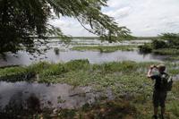 Los Llanos - Rundreise Venezuela – Natur und Abenteuer pur