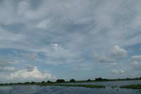 Los Llanos - Rundreise Venezuela – Natur und Abenteuer pur