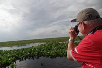 Los Llanos - Rundreise Venezuela – Natur und Abenteuer pur